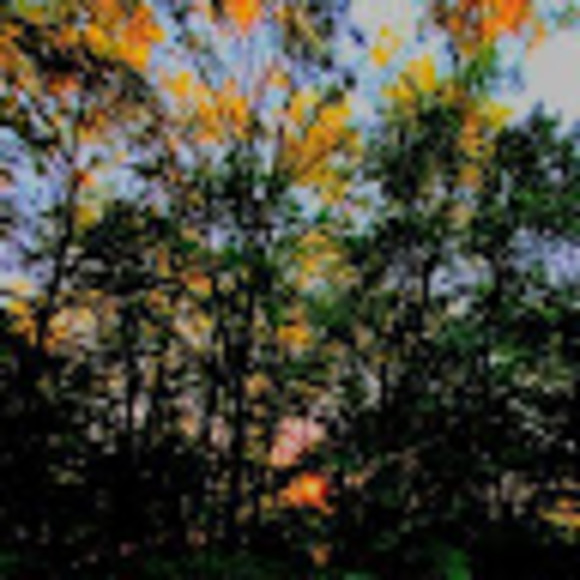 Meet your Posher, Andrea - Picture 1 of 1